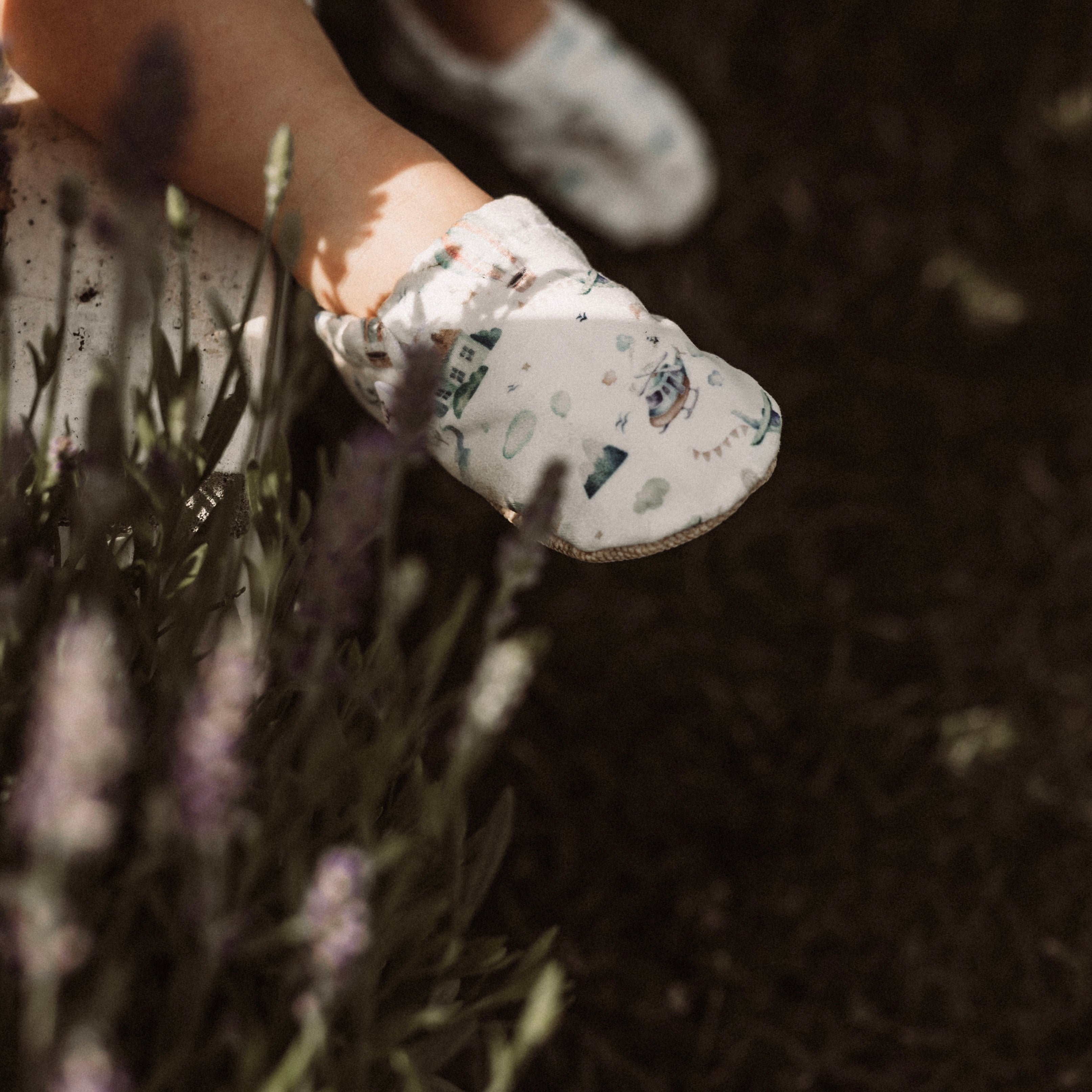 Presseartikel Cosy Roots