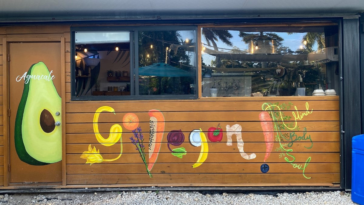 Go Vegan! Vegane Ernährung für Anfänger