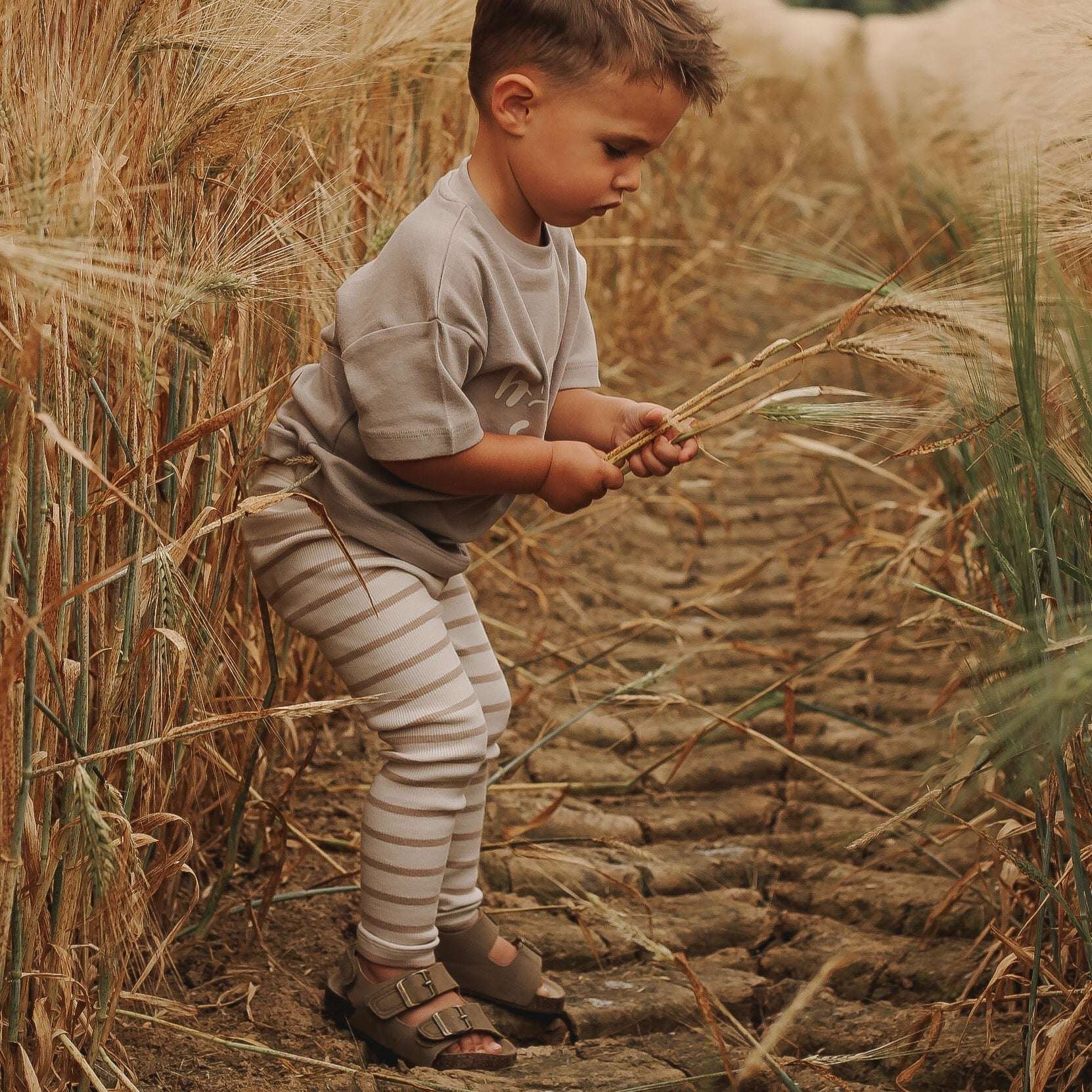 Organic Rib Leggings - Caramel Striped