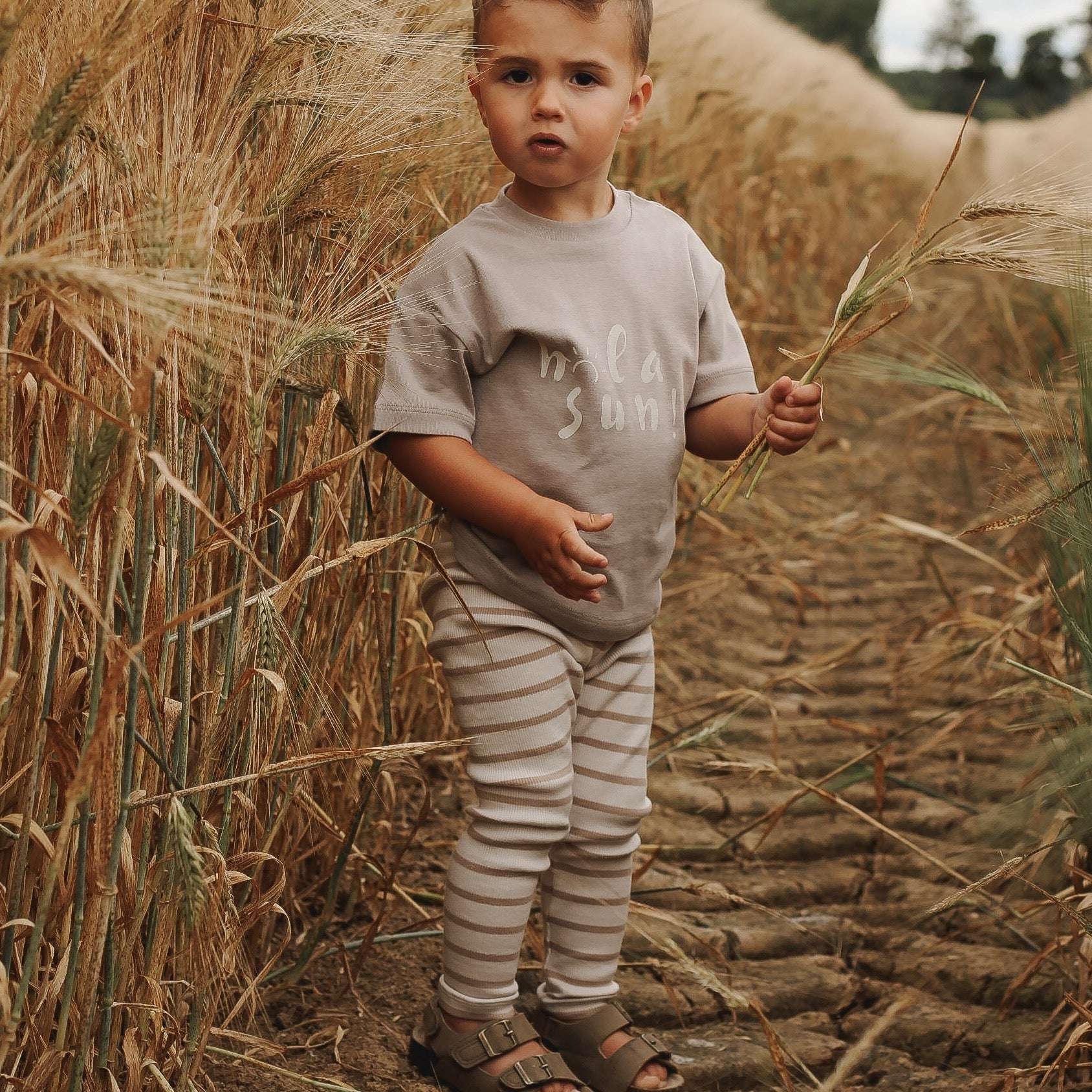 Organic Rib Leggings - Caramel Striped